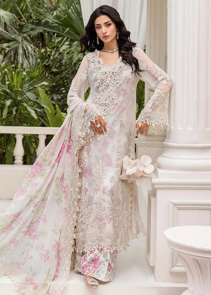 Maria b D-1 Chiffons